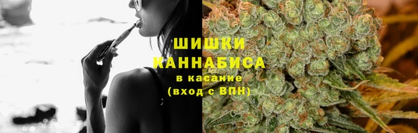 2c-b Богородицк